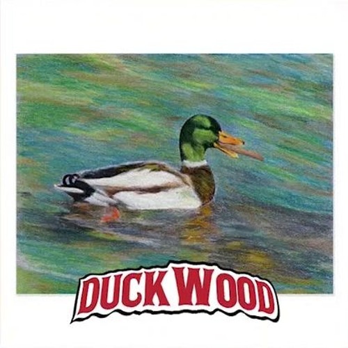DUCKWOOD cover