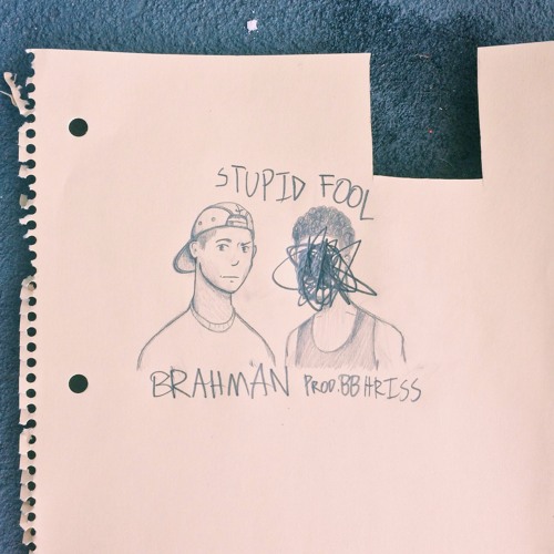 Stupid Fool cover