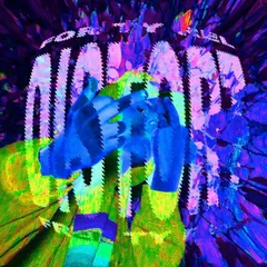 DiStOrT cover