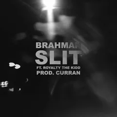 SLIT cover