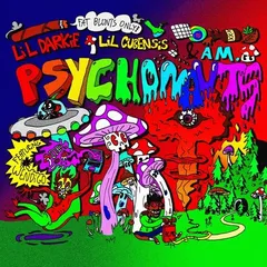 PSYCHONAUTS cover 5