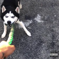 WET cover