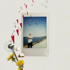 ELECTRIC DANDELIONS cover