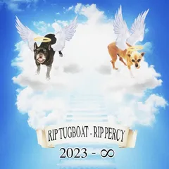 they just put my dog down (RIP TUGBOAT RIP PERCY) cover